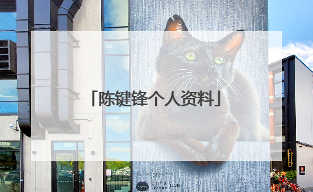 陈键锋个人资料