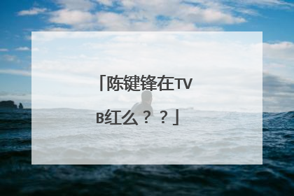 陈键锋在TVB红么？？