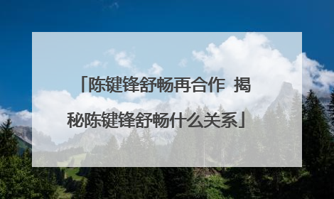 陈键锋舒畅再合作 揭秘陈键锋舒畅什么关系
