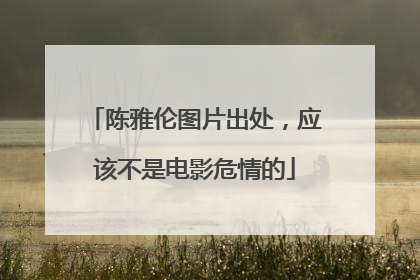 陈雅伦图片出处，应该不是电影危情的
