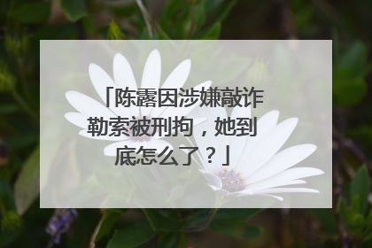 陈露因涉嫌敲诈勒索被刑拘,她到底怎么了?