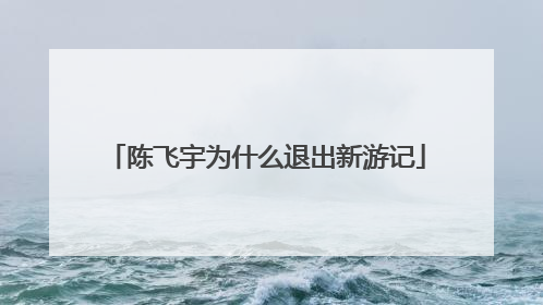 陈飞宇为什么退出新游记