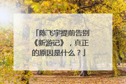 陈飞宇提前告别《新游记》,真正的原因是什么?
