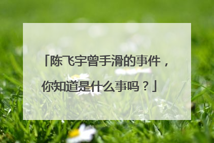 陈飞宇曾手滑的事件，你知道是什么事吗？