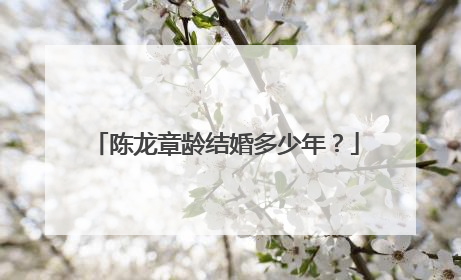 陈龙章龄结婚多少年?