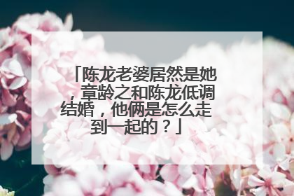 陈龙老婆居然是她,章龄之和陈龙低调结婚,他俩是怎么走到一起的?
