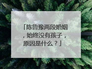 陈鲁豫两段婚姻,始终没有孩子,原因是什么?