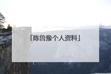 陈鲁豫个人资料