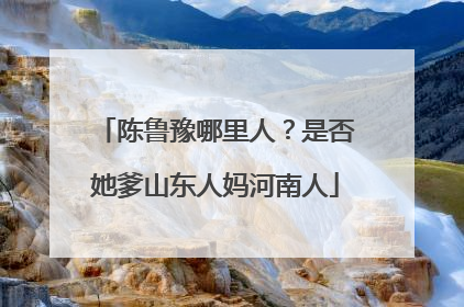 陈鲁豫哪里人?是否她爹山东人妈河南人