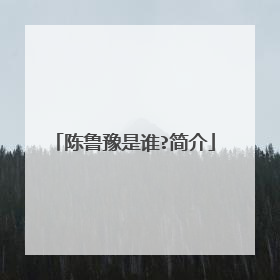 陈鲁豫是谁?简介