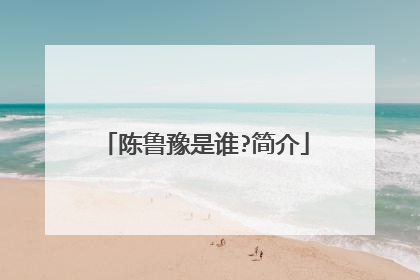 陈鲁豫是谁?简介