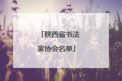 陕西省书法家协会名单