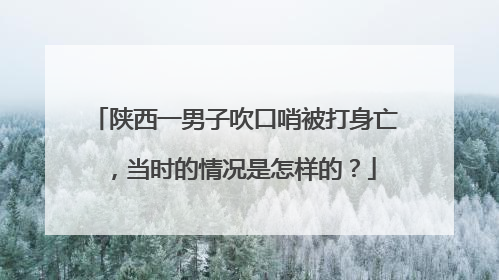 陕西一男子吹口哨被打身亡，当时的情况是怎样的？