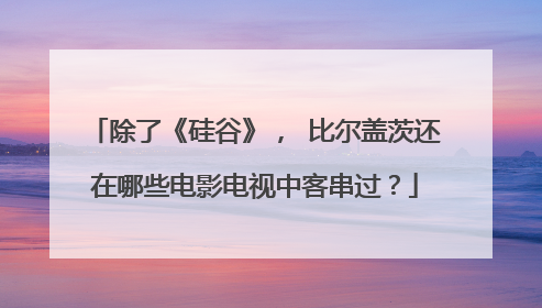 除了《硅谷》， 比尔盖茨还在哪些电影电视中客串过？