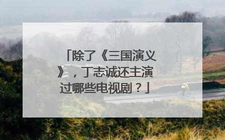 除了《三国演义》，丁志诚还主演过哪些电视剧？