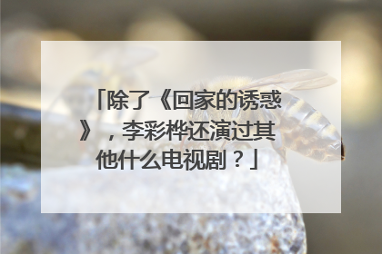 除了《回家的诱惑》,李彩桦还演过其他什么电视剧?
