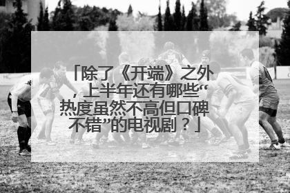 除了《开端》之外，上半年还有哪些“热度虽然不高但口碑不错”的电视剧？