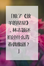 除了《放羊的星星》,林志颖还拍过什么青春偶像剧?
