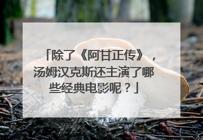 除了《阿甘正传》,汤姆汉克斯还主演了哪些经典电影呢?