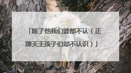 除了他我们谁都不认（正牌天王孩子们却不认识）