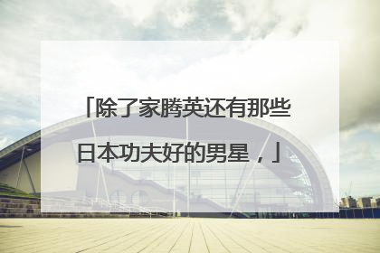 除了家腾英还有那些日本功夫好的男星，