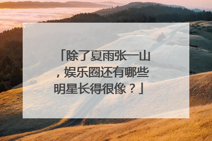 除了夏雨张一山,娱乐圈还有哪些明星长得很像?