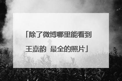 除了微博哪里能看到 王嘉韵 最全的照片