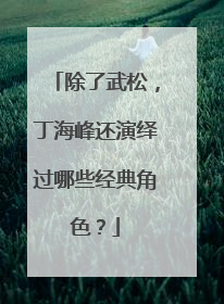 除了武松，丁海峰还演绎过哪些经典角色？