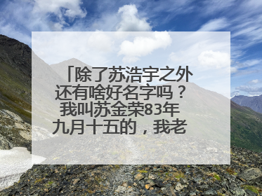 除了苏浩宇之外还有啥好名字吗？我叫苏金荣83年九月十五的，我老婆陶利琴86年正月二十九的的（农历）。