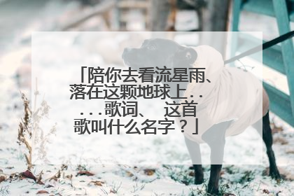 陪你去看流星雨、落在这颗地球上.....歌词、 这首歌叫什么名字?