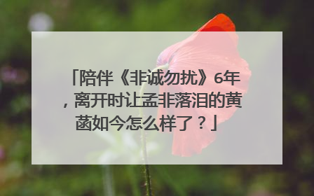 陪伴《非诚勿扰》6年，离开时让孟非落泪的黄菡如今怎么样了？