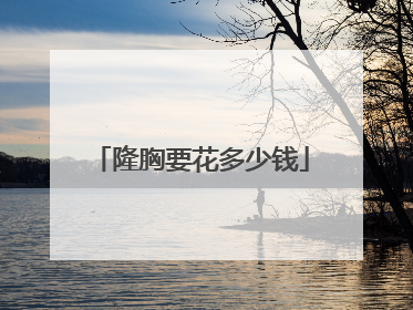 隆胸要花多少钱