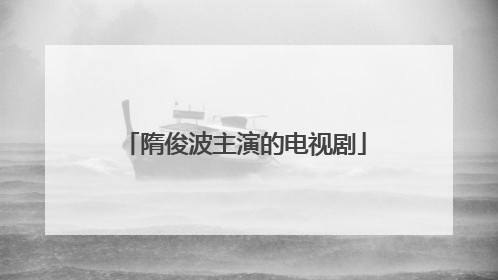 隋俊波主演的电视剧