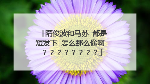 隋俊波和马苏 都是短发下 怎么那么像啊？？？？？？？？