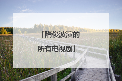 隋俊波演的所有电视剧