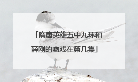 隋唐英雄五中九环和薛刚的吻戏在第几集