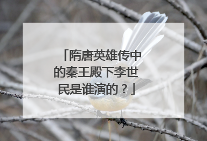 隋唐英雄传中的秦王殿下李世民是谁演的？