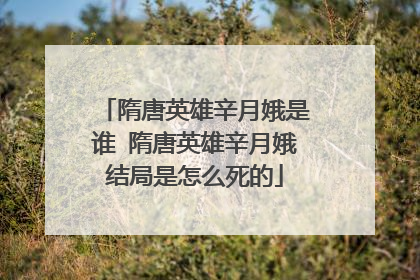 隋唐英雄辛月娥是谁 隋唐英雄辛月娥结局是怎么死的