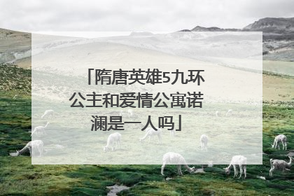 隋唐英雄5九环公主和爱情公寓诺澜是一人吗