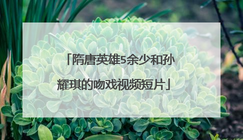 隋唐英雄5余少和孙耀琪的吻戏视频短片