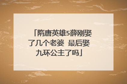 隋唐英雄5薛刚娶了几个老婆 最后娶九环公主了吗