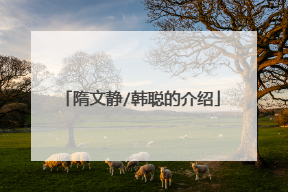 隋文静/韩聪的介绍