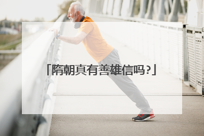 隋朝真有善雄信吗?