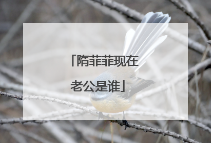 隋菲菲现在老公是谁