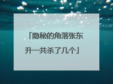 隐秘的角落张东升一共杀了几个