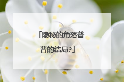 隐秘的角落普普的结局?