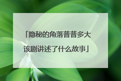 隐秘的角落普普多大 该剧讲述了什么故事