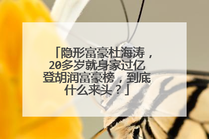 隐形富豪杜海涛，20多岁就身家过亿登胡润富豪榜，到底什么来头？