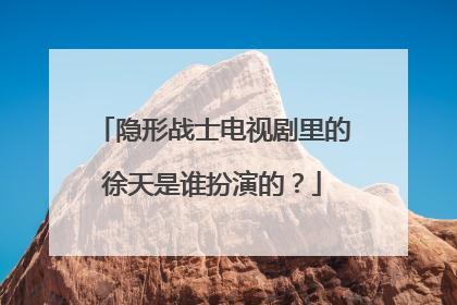 隐形战士电视剧里的徐天是谁扮演的？