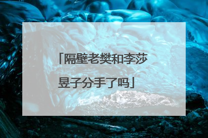 隔壁老樊和李莎昱子分手了吗